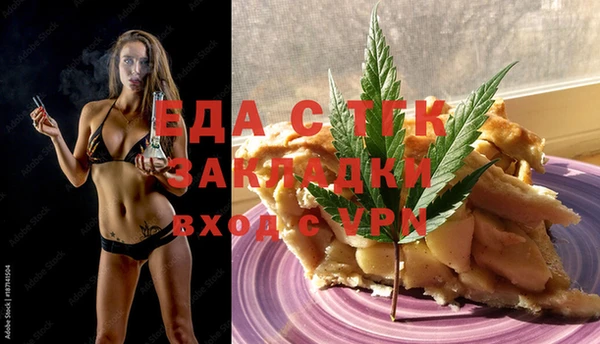 mdpv Бородино