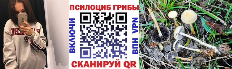 Псилоцибиновые грибы Magic Shrooms  Зима 