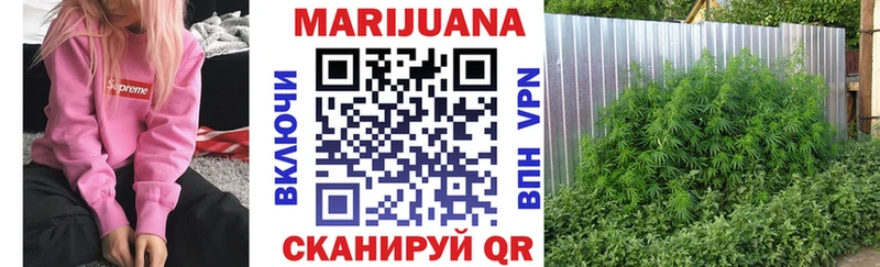 Каннабис Ganja  Зима 